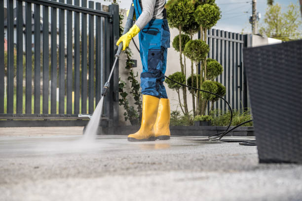 Best Patio and Deck Pressure Washing  in Percy, IL
